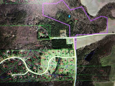 00 Old Smith Rd, Wilders, NC 27576 - photo 3