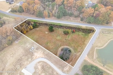 14367 Valley View, Byhalia, MS 38611 - photo 2