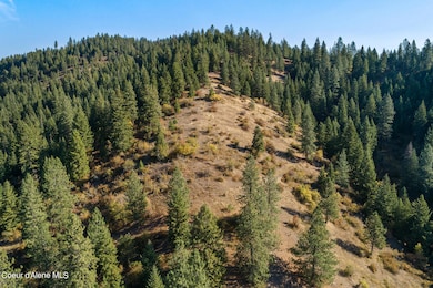 Aerial_NKASWolfLodgeCreekRd-4