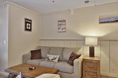 Sleep Sofa in Living Room