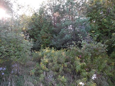 SAM_1584
