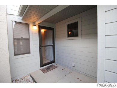 Glass storm door