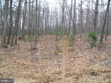 0 Our Ln unit 1000140256, Points, WV 25437 - photo 4