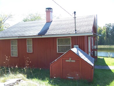 Back view