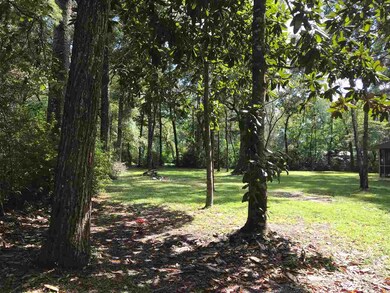 124 Sam Smith Cir, Crawfordville, FL 32327 - photo 3