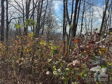 50 Scenic Wolf Ridge Rd, Mars Hill, NC 28754 - photo 6