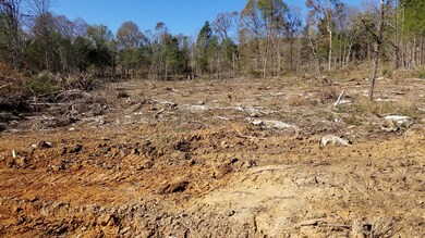 0 Highway 128 unit 2207517, Linden, TN 37096 - photo 6