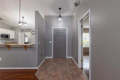 4242 Cactus Ln, Mount Dora, FL 32757 - photo 7