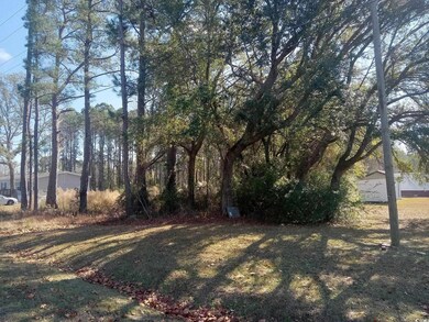 3800 Kickapoo Dr unit LOT 4, Green Sea, SC 29545 - photo 4