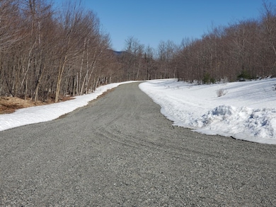 Lot 7 Daigneau Trail, Franklin, NY 12989 - photo 2
