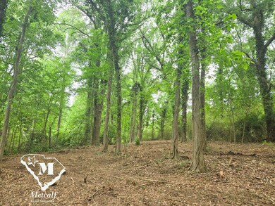 0 Pepper St unit 23745840, Central, SC 29630 - photo 6