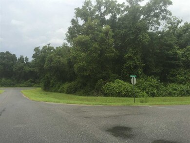 0 Cross Cut Trail unit 271024, Crawfordville, FL 32327 - photo 4