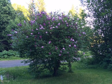 Perrenial Plants & Bushes