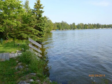 shore is the treed area-sandy