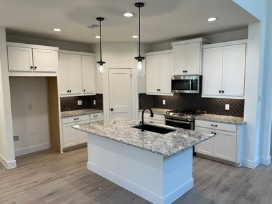 10680 Wild Chives, the Woodlands, TX 77385 - photo 4