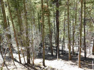 0 Ridgecrest Dr unit 1-3, Alamogordo, NM 88310 - photo 7