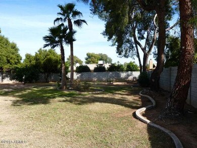Backyard with huge grassy space