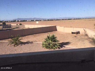 backyard upper view 2