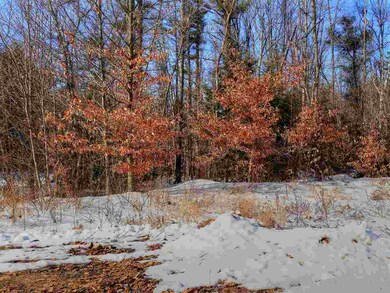 Winter Scene 2
