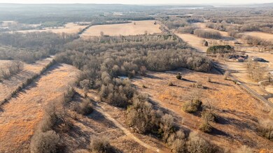 Tract 5 Rooster Rd, Conway, AR 72032 - photo 5