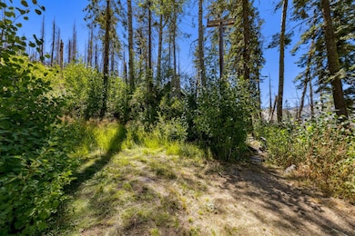 38 Sayles Flat, Twin Bridges, CA 95735 - photo 7