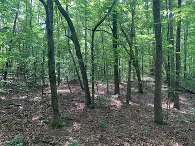 0 Candy Ln unit 10199196, Stantonville, TN 38379 - photo 4