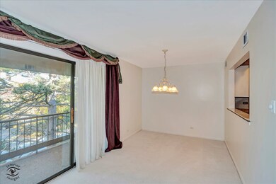 1327 Cass Ln E unit 301, Westmont, IL 60559 - photo 6