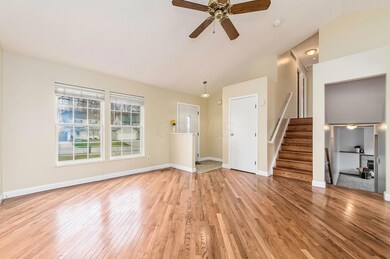 Entry Level & Main Living Area