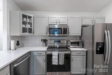 17143 Red Feather Dr unit 17143, Charlotte, NC 28277 - photo 7