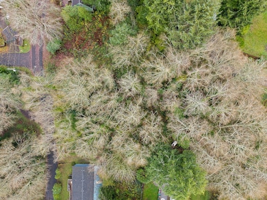 0 Vl 10602 I St, Nehalem, OR 97131 - photo 7