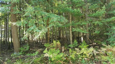 27 Hudon Rd, Lisbon, ME 04250 - photo 2