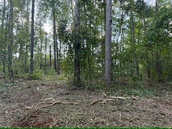 111 N Hunter Ln, Troy, AL 36079 - photo 5