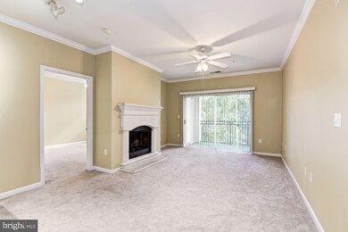 12956 Centre Park Cir unit 209, Herndon, VA 20171 - photo 7