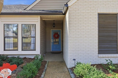 348 Mockingbird Ln, Madison, MS 39110 - photo 2