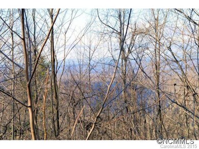 Mtn Views