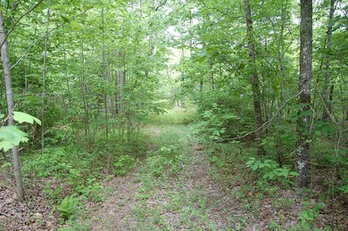 7 Bear Wallow Rd. - 1246393 003