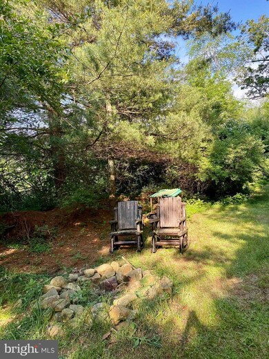 Lot #9 Native Trout Ln, Sugar Grove, WV 26815 - photo 6