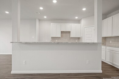 4223 Ametrine Way, San Antonio, TX 78245 - photo 4