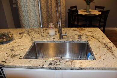 Large Stainless sink