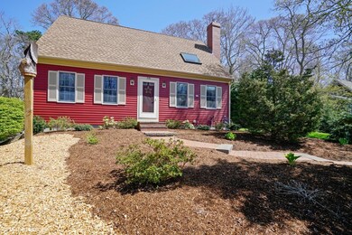 Easy care yard