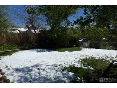 3407 Stanford rear yard