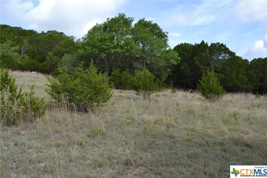 4.591 Acres Fushia Rd, Copperas Cove, TX 76522 - photo 6