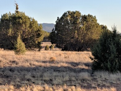 Looking west from the lot