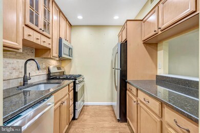 5942 Cove Landing Rd unit 303, Burke, VA 22015 - photo 4