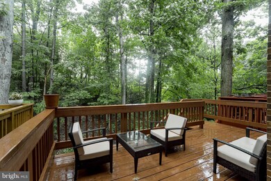 5003 Domain Place, Alexandria, VA 22311 - photo 3