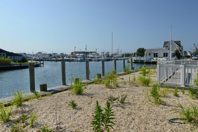 421 Cocoa Ct, Lavallette, NJ 08735 - photo 5