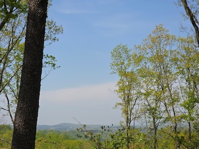 Lot 105 Twisted Oak Rd, Talking Rock, GA 30175 - photo 4
