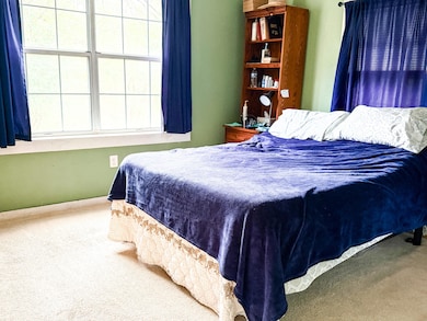 29682 Hwy 14, Marcella, AR 72555 - photo 4