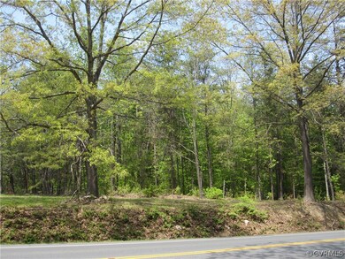 0 Courthouse Rd unit 1816574, Louisa, VA 23093 - photo 3