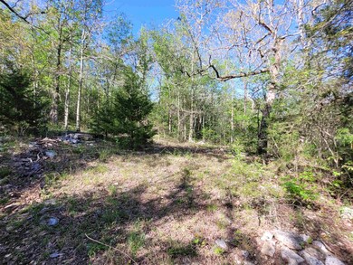 TBD Indian Valley Ln, Mammoth Spring, AR 72554 - photo 5